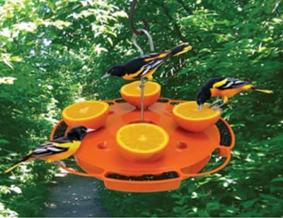 Songbird Essentials Ultimate