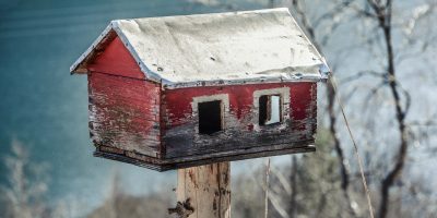 Birdhouse