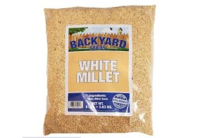 Backyard Seeds White Millet Bird