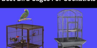 Best Bird Cages for Cockatiels