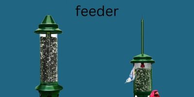 best squirrel proof bird feeder