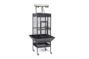 Prevue Hendryx Prevue Pet Products Wrought Iron Select Bird Cage