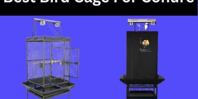 best bird cage for conure