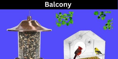 best bird feeder for apartment balcony