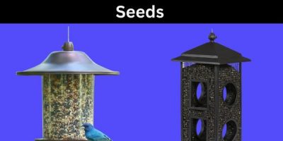 best bird feeder for sunflower seeds