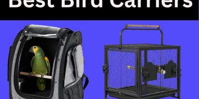 Best Bird Carriers