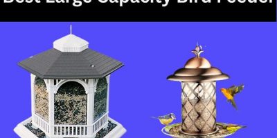 best large capacity bird feeder