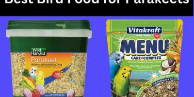 Best Bird Food for Parakeets