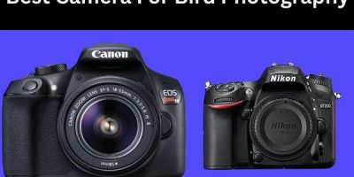 best camera for bird photography