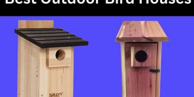 best outdoor bird houses