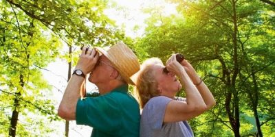 best time to bird watch