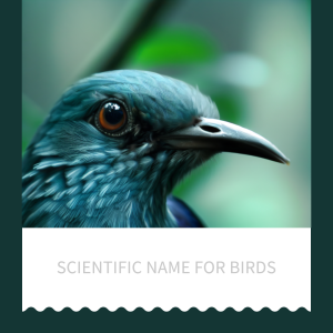 scientific name for birds